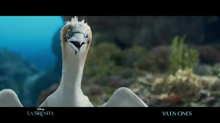 Відео до фільму Русалонька | Anuncio: '&iquest;Qu&eacute; tengo aqu&iacute;?'