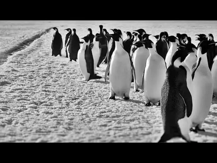 Відео до фільму Voyage au P&ocirc;le Sud | R&Uuml;CKKEHR ZUM LAND DER PINGUINE | Trailer deutsch german [HD]