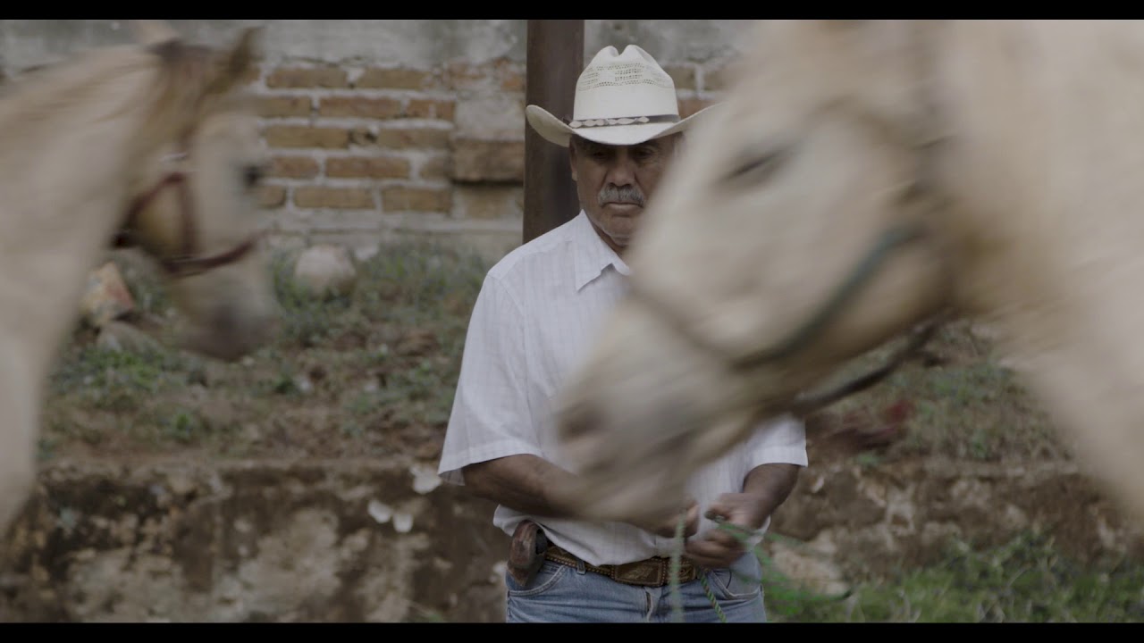 Відео до фільму Horse Wrangler | IDFA 2018 | Trailer | Caballerango