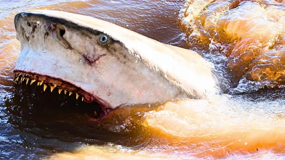 Відео до фільму Fear Below | UK Trailer