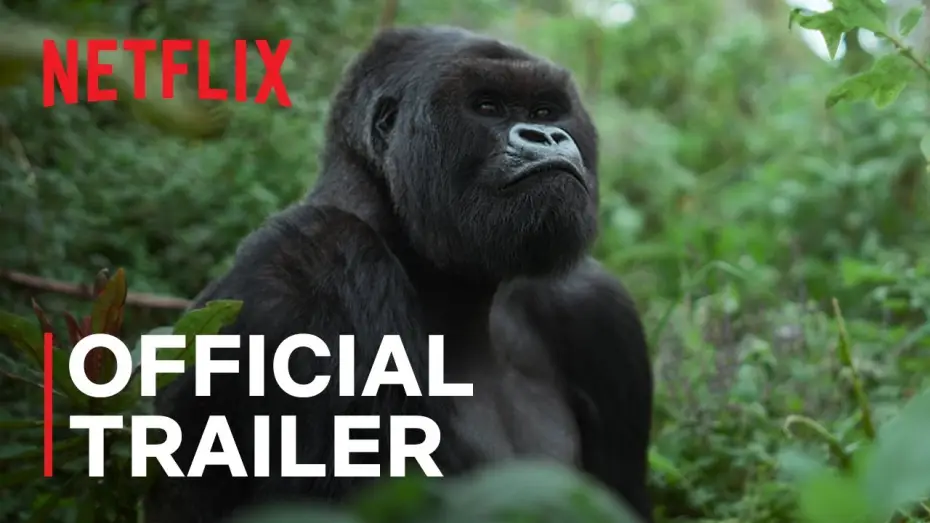 Відео до фільму A Gorilla Story: Told by David Attenborough | Official Trailer