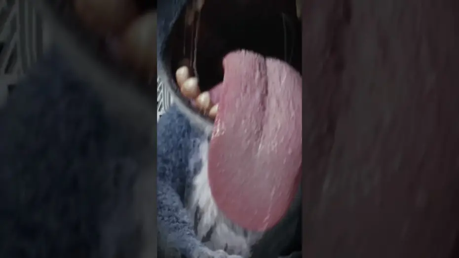 Відео до фільму Ліло і Стіч | Caught on camera