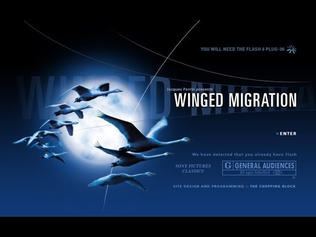 Відео до фільму Птахи &ndash; мандрівний народ | Winged Migration - Le Peuple Migrateur | Official Trailer