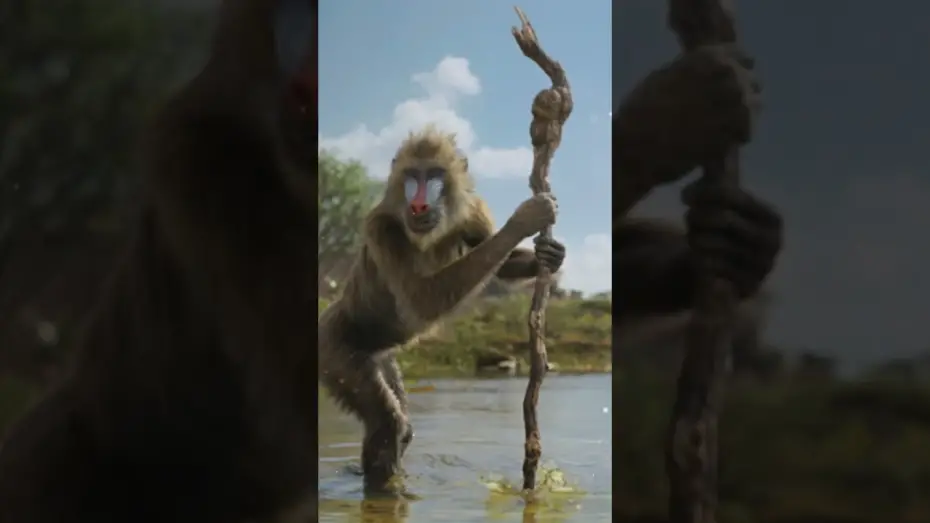 Відео до фільму Муфаса: Король Лев | Be the First to Watch at Home Today