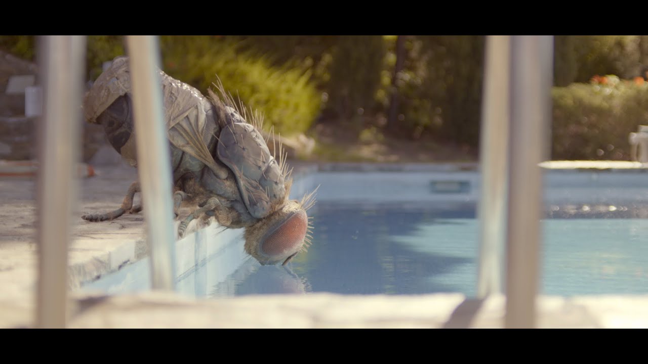 Відео до фільму Жувальця | &laquo;Жвалы&raquo; &ndash; трейлер с субтитрами&ndash; с 24 июня в кино