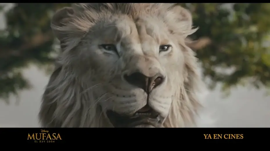 Відео до фільму Муфаса: Король Лев | Anuncio: 'Este reino me pertenece'