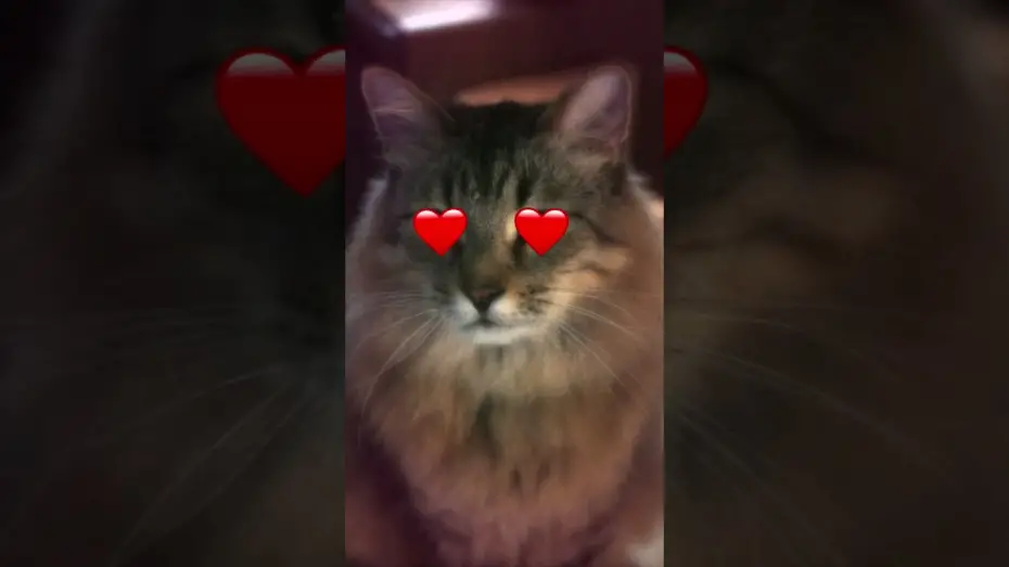 Відео до фільму Спіймати на гарячому | In Cinemas Sept 10