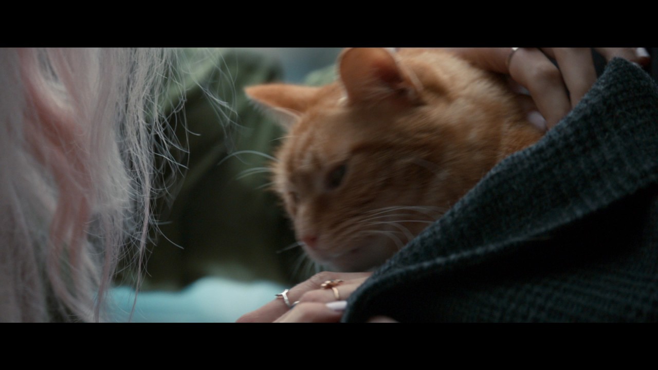 Відео до фільму Вуличний кіт на ім&rsquo;я Боб | Уличный Кот По Кличке Боб - Trailer