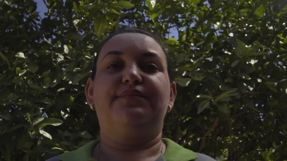 Відео до фільму O Ponto do Mel | TRAILER - O PONTO DO MEL