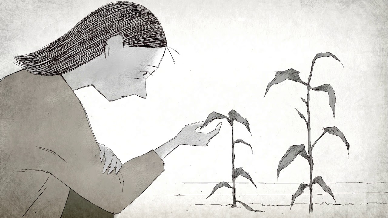 Відео до фільму If Anything Happens I Love You | FFF 2020 - Trailer - If Anything Happens I Love You