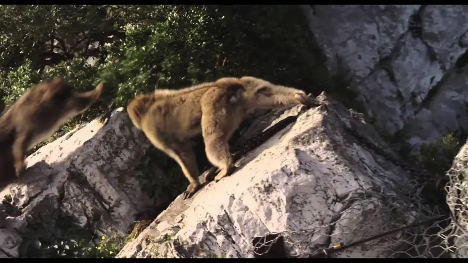 Відео до фільму Ель-Ніньо | Official Trailer