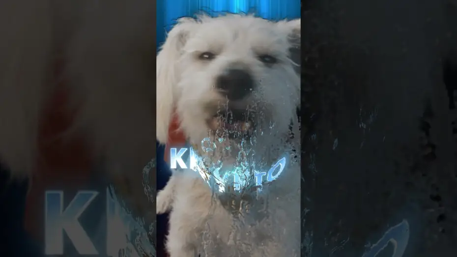 Відео до фільму Супермен: Спадок | Krypto is one of a kind.