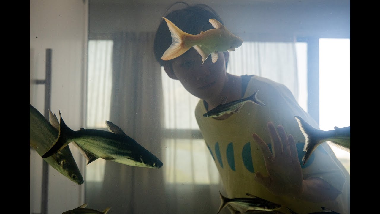 Відео до фільму Dormir de olhos abertos | Sleep with Your Eyes Open (official trailer)