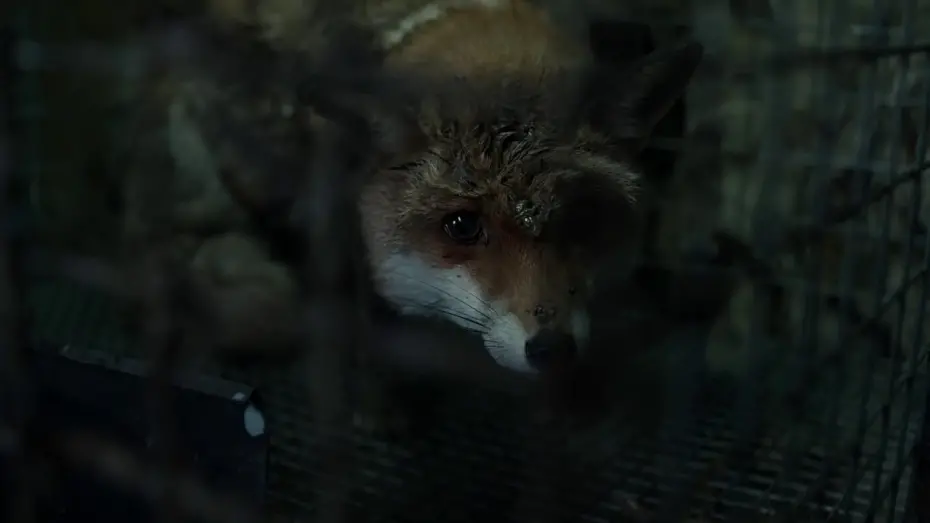 Відео до фільму Spoor | SPOOR (POKOT) - trailer EN