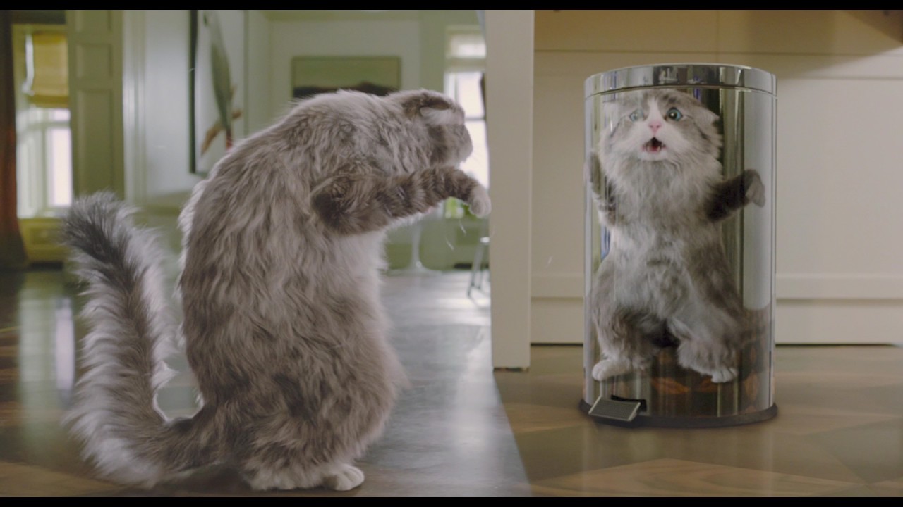 Відео до фільму Дев&rsquo;ять життів | Девять жизней - Trailer