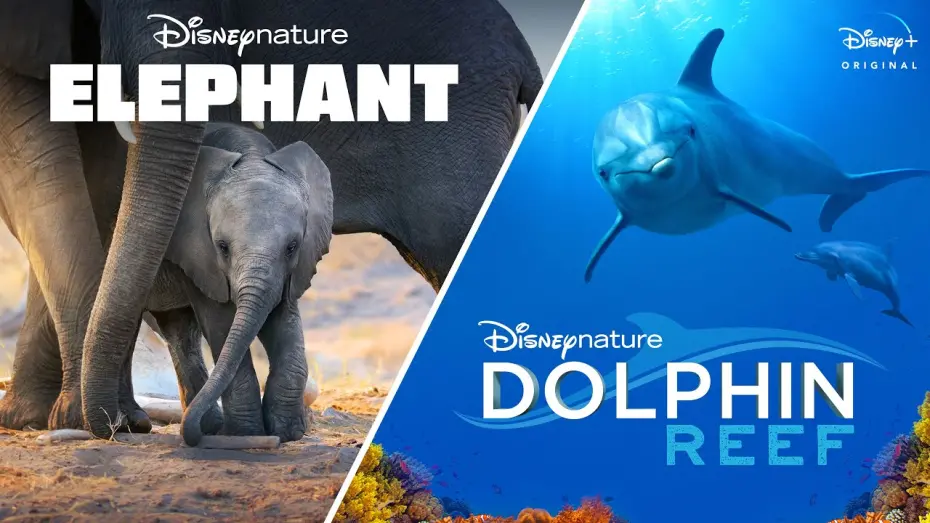 Відео до фільму Elephant | Disneynature&rsquo;s Elephant & Dolphin Reef | Official Trailer | Disney+
