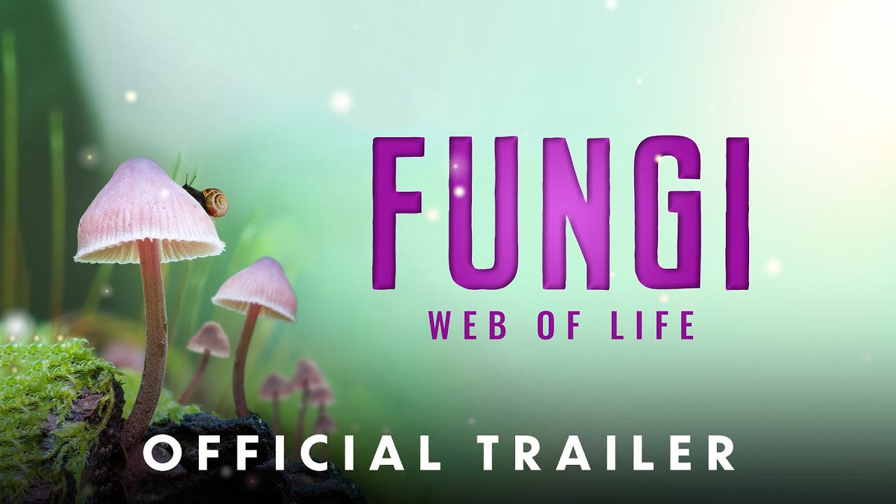 Відео до фільму Fungi: Web of Life | Official Theatrical Trailer