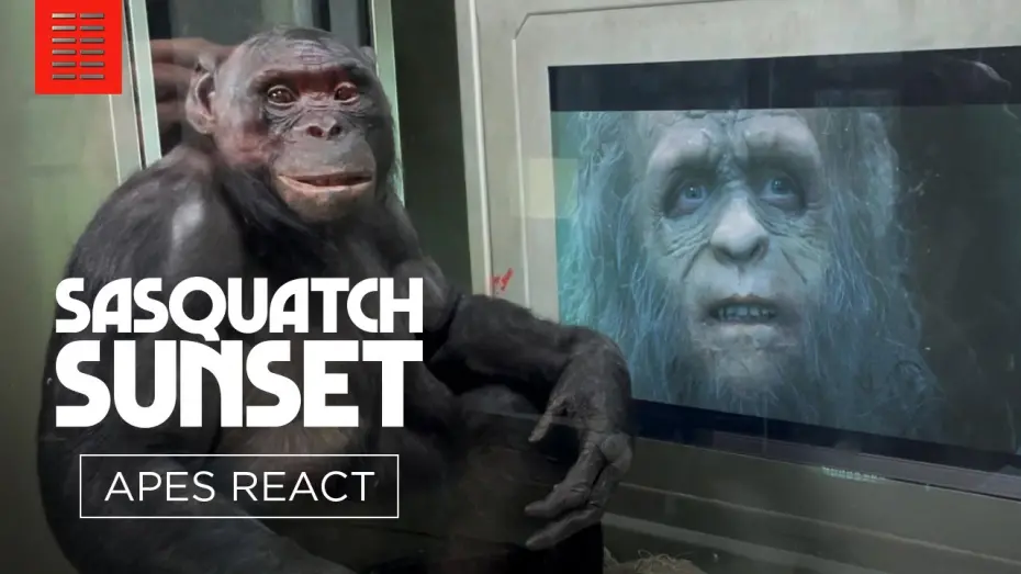 Відео до фільму Sasquatch Sunset | Apes Watch Sasquatch Sunset with Jesse Eisenberg and the Zellner Bros