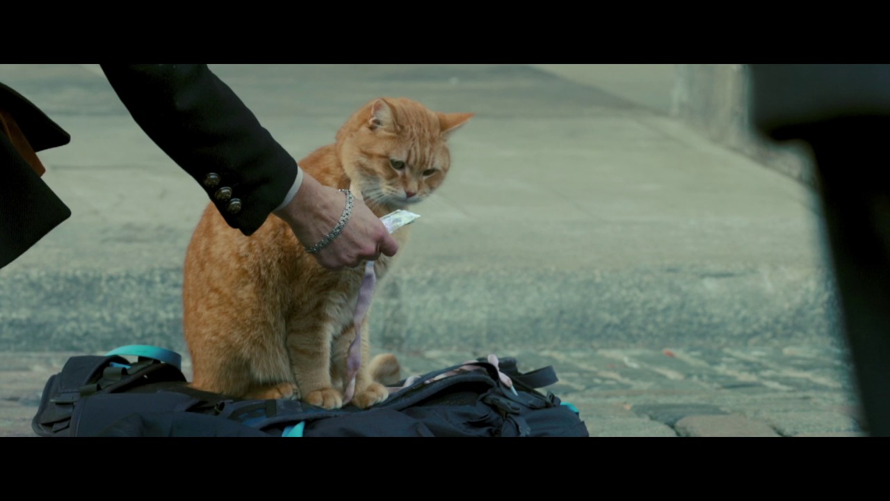 Відео до фільму Вуличний кіт на ім’я Боб | A Street Cat Named Bob - Meeting Bob Featurette - At Cinemas November 4