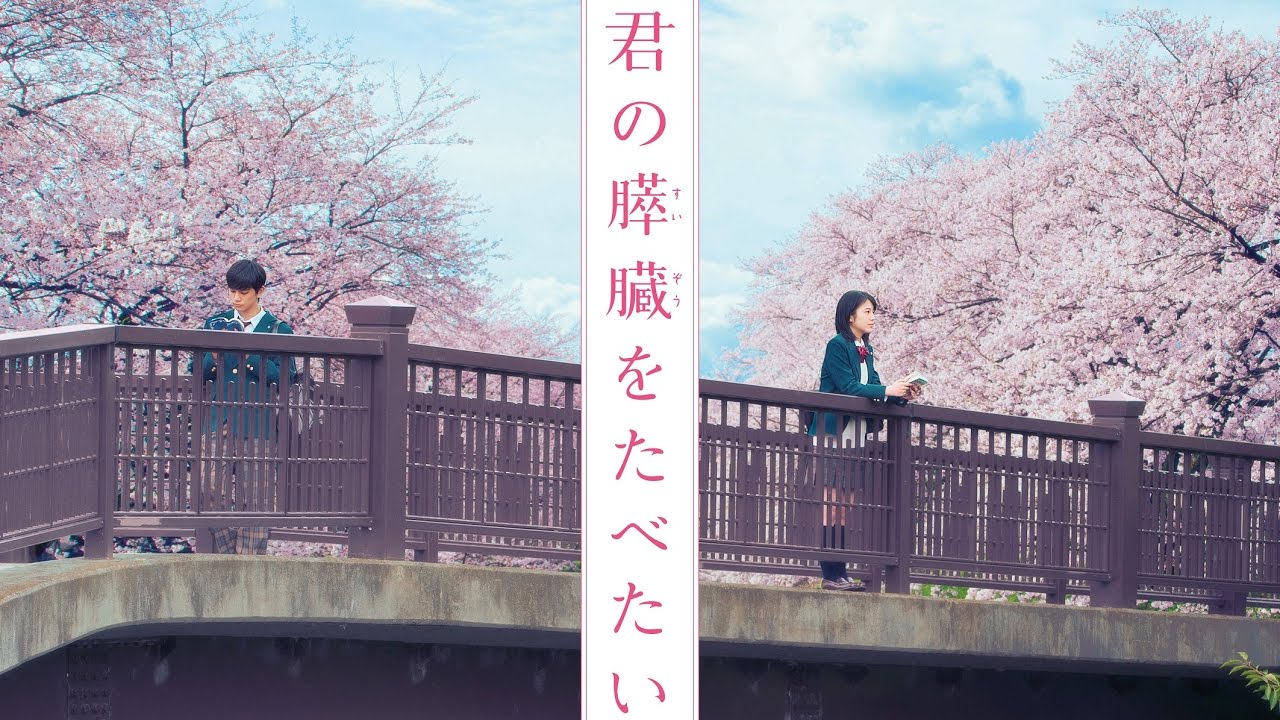 Відео до фільму Let Me Eat Your Pancreas | 「君の膵臓をたべたい」予告