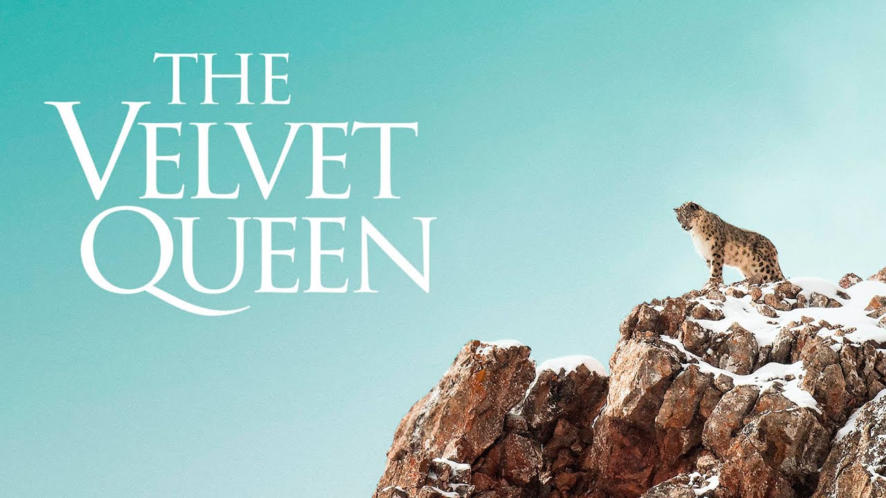 Відео до фільму The Velvet Queen | The Velvet Queen - Official Trailer - English Sub Title