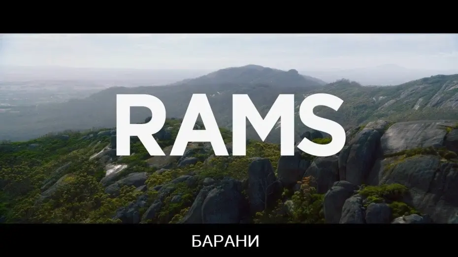 Відео до фільму Барани | Барани / Rams (2020) (УКРАЇНСЬКІ СУБТИТРИ)