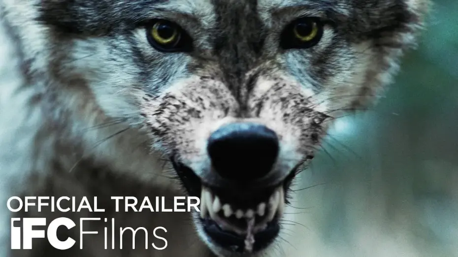 Відео до фільму Out Come the Wolves | Official Trailer