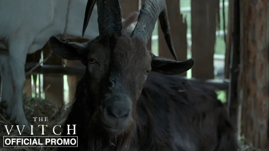 Відео до фільму Відьма | Black Phillip - Official Promo