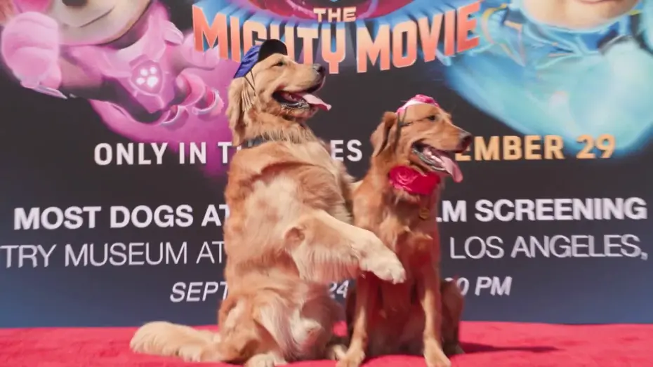 Відео до фільму Щенячий патруль: Мегакіно | Guinness World Records Title for Most Dogs Attending a Film Screening