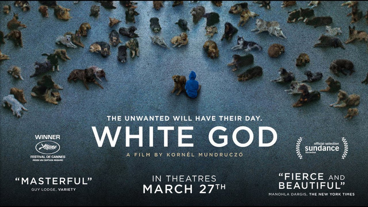 Відео до фільму Білий бог | White God - Official Trailer