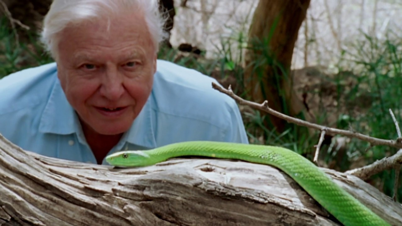 Відео до фільму David Attenborough: A Life on Our Planet | David Attenborough: A Life On Our Planet | Official Trailer