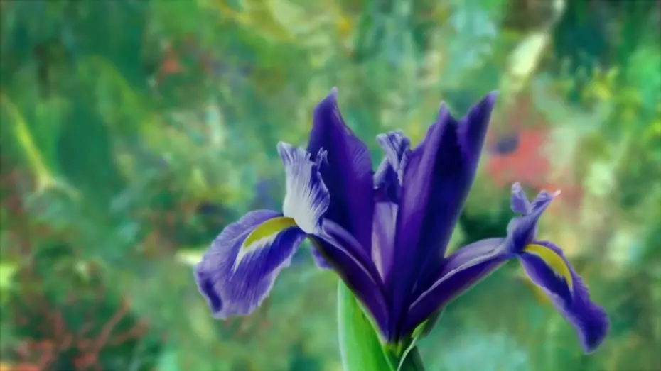 Відео до фільму Painting the Modern Garden: Monet to Matisse | Watch the trailer for 