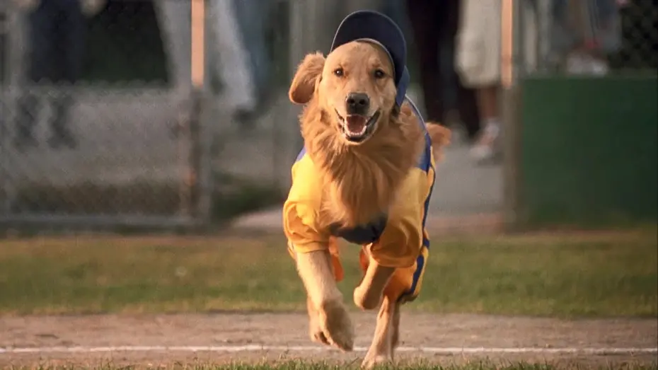 Відео до фільму Король повітря. Сьома подача | Air Bud 4: Seventh Inning Fetch (2002) ORIGINAL TRAILER [HD]