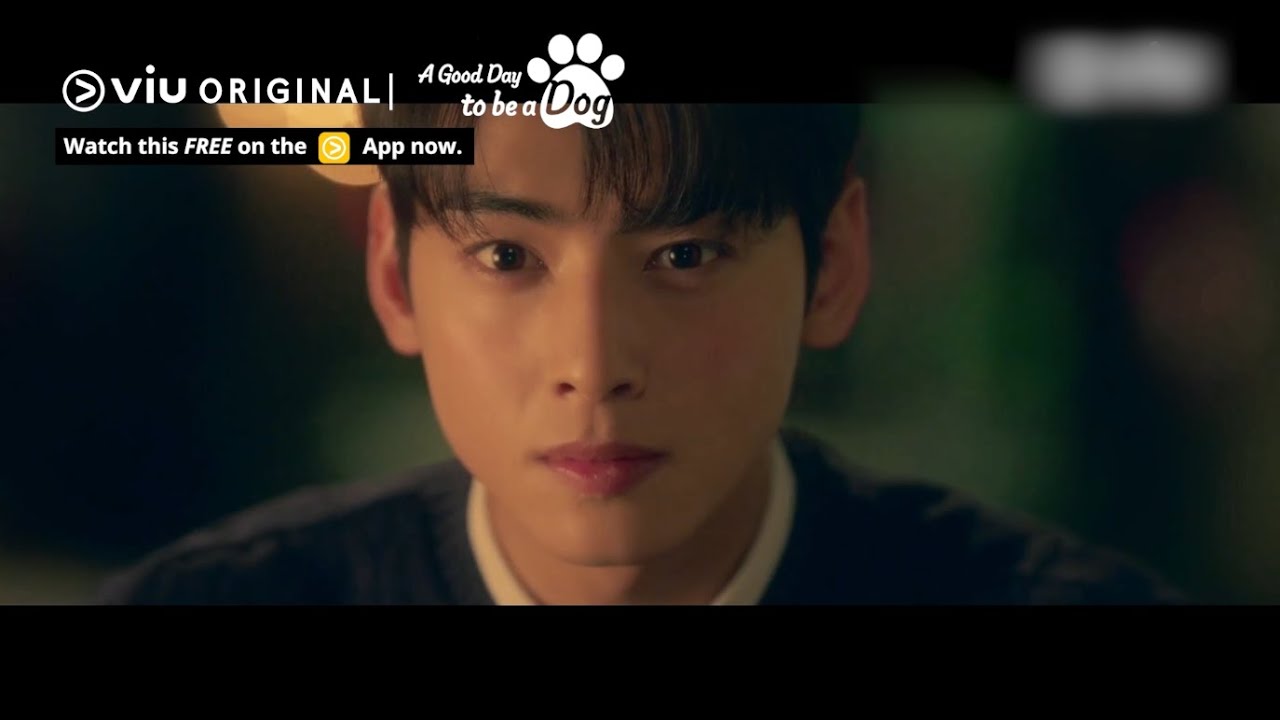 Відео до фільму Dog Days | Will Cha Eun Woo Kiss the Dog Version of Park Gyu Young? 🐶 | Viu Original, A Good Day to be a Dog