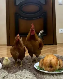 Віктор Кіріленко