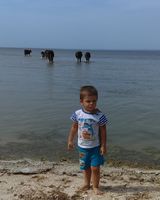 Николай Гальченко