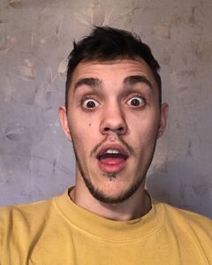 Сергей Витковский
