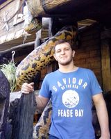 Андрій Костків