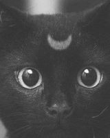 Lo Lita