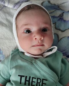 Максим Вакуленко