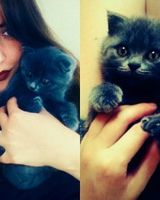 Vira Ignasiv