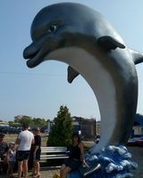 Ирина Андруша