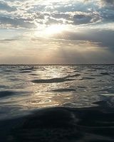 Юлия Богуславская
