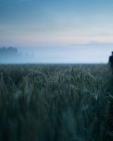 Сергій Сукало