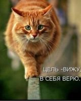 Александр Андрушко