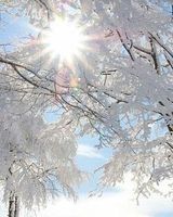 Юлия Барабанова