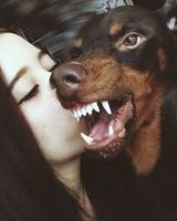 Анна Семенчук