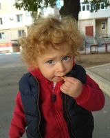 Владислав Ніколов
