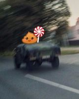 Артем Литвиненко