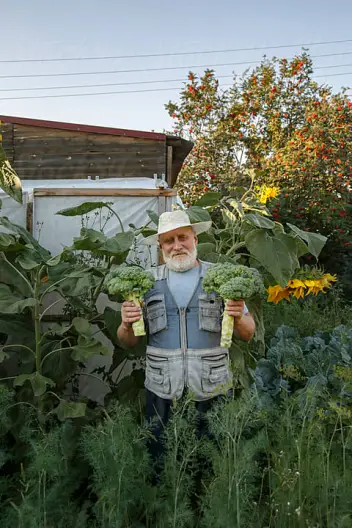 Кастинг актора-фермера (45+) для TikTok-роликів | Київ, область
